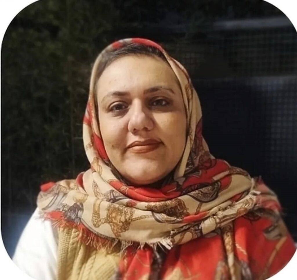 مهشید دولت مدلی